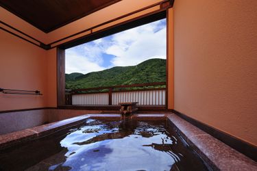 Hotel Yaeikan Hakone - Kanagawa Prefecture: Photo 