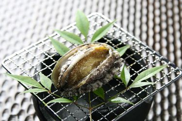 Hotel Yaeikan Hakone - Kanagawa Prefecture: Photo 