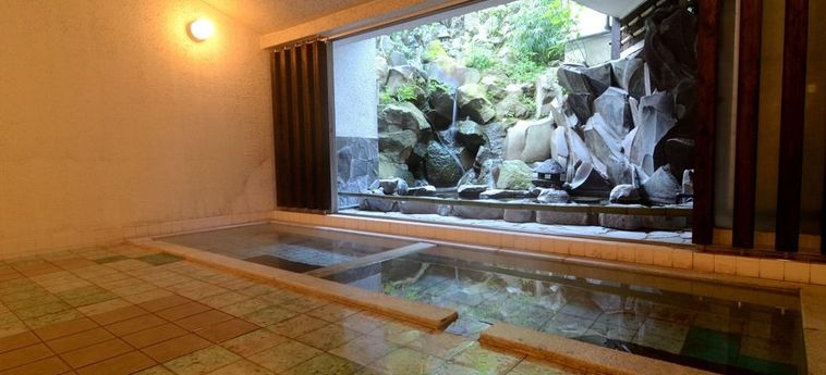 Hotel Yojokan Haru No Hikari Hakone - Kanagawa Prefecture: Foto 