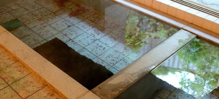 Hotel Yojokan Haru No Hikari Hakone - Kanagawa Prefecture: Foto 