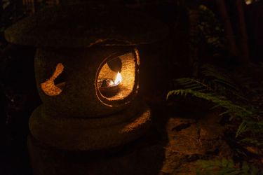 Hotel Yojokan Haru No Hikari Hakone - Kanagawa Prefecture: Photo 