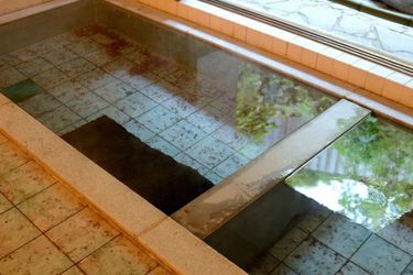 Hotel Yojokan Haru No Hikari Hakone - Kanagawa Prefecture: Photo 