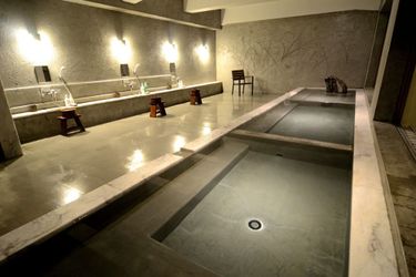 Hotel Yojokan Haru No Hikari Hakone - Kanagawa Prefecture: Photo 