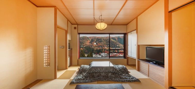 Hotel Washintei Hogetsu Hakone - Kanagawa Prefecture: Foto 