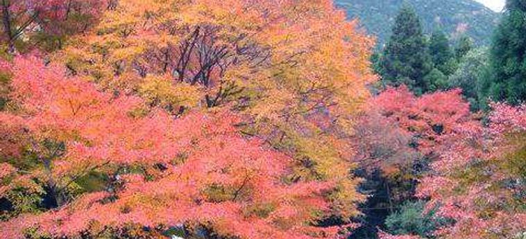 Hotel Yugawara Onsen Kamata Hakone - Kanagawa Prefecture: Foto 