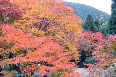 Hotel Yugawara Onsen Kamata Hakone - Kanagawa Prefecture: Photo 