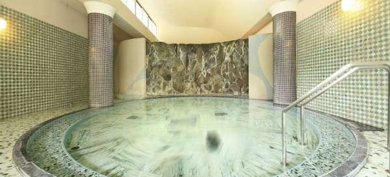 Hotel Bansuiro Fukuzumi Hakone - Kanagawa Prefecture : Photo 