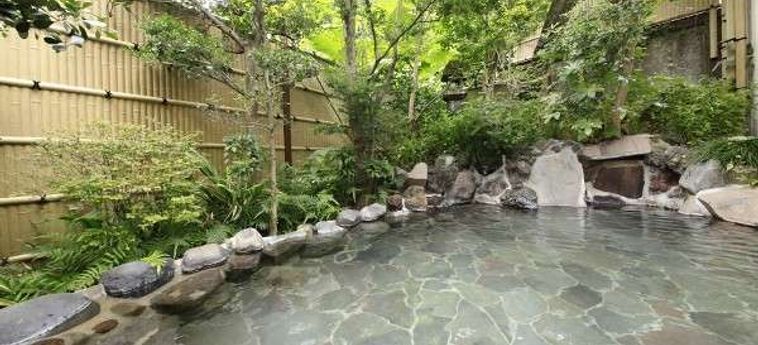 Hotel Bansuiro Fukuzumi Hakone - Kanagawa Prefecture : Photo 