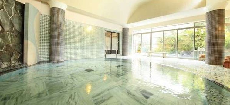 Hotel Bansuiro Fukuzumi Hakone - Kanagawa Prefecture : Photo 