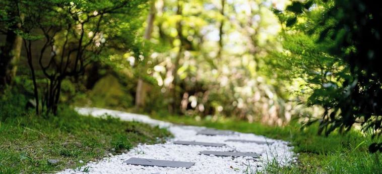 Hotel Yuyu Hakone - Private Open Air Onsen Usage Guaranteed Hakone - Kanagawa Prefecture: Foto 