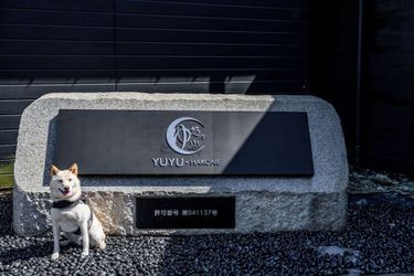 Hotel Yuyu Hakone - Private Open Air Onsen Usage Guaranteed Hakone - Kanagawa Prefecture: Photo 