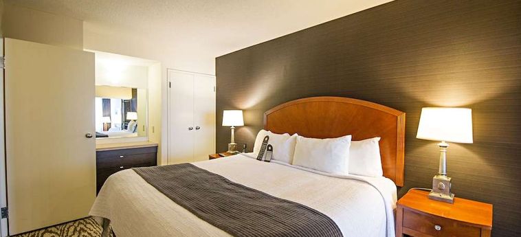Hotel Cambridge Suites Halifax: Foto 