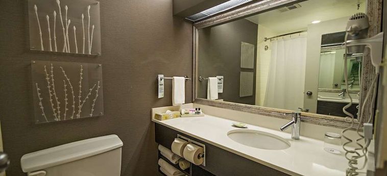 Hotel Cambridge Suites Halifax: Foto 