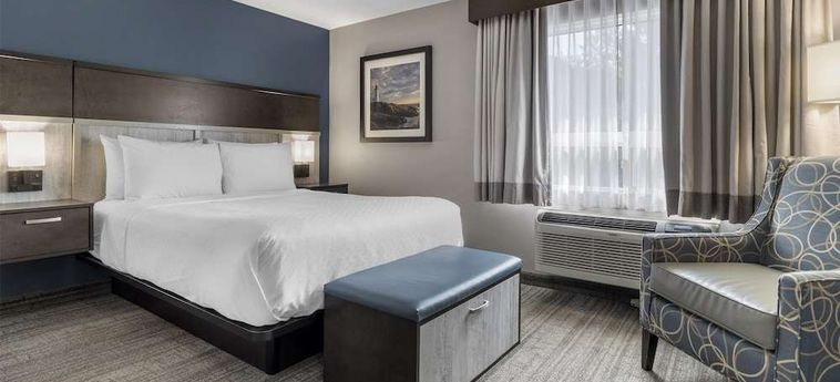 Best Western Plus Chocolate Lake Hotel  Halifax: Foto 