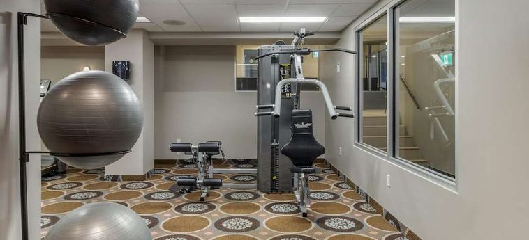 Best Western Plus Chocolate Lake Hotel  Halifax: Foto 