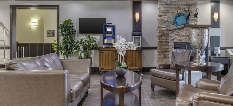 Best Western Plus Chocolate Lake Hotel  Halifax : Photo 