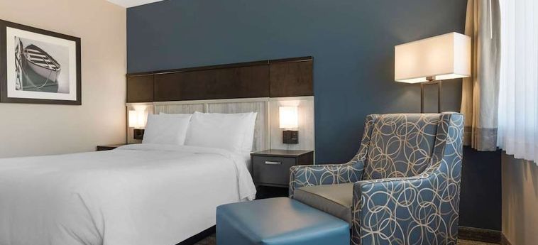 Best Western Plus Chocolate Lake Hotel  Halifax : Photo 
