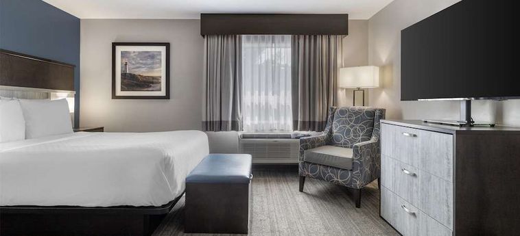Best Western Plus Chocolate Lake Hotel  Halifax: Foto 