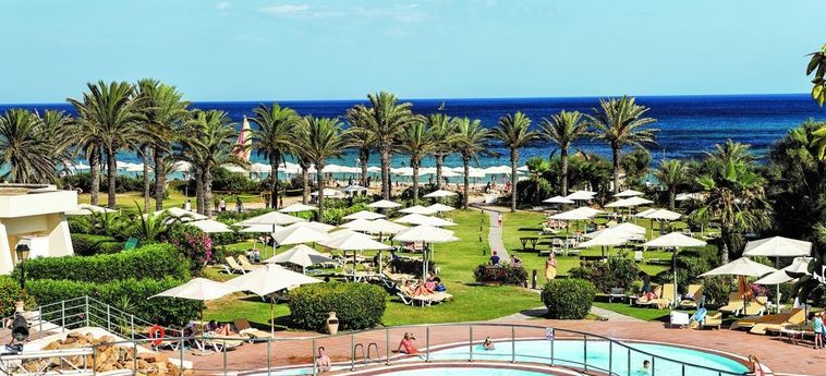 Hotel Calimera Delfino Beach Resort & Spa:  HAMMAMET