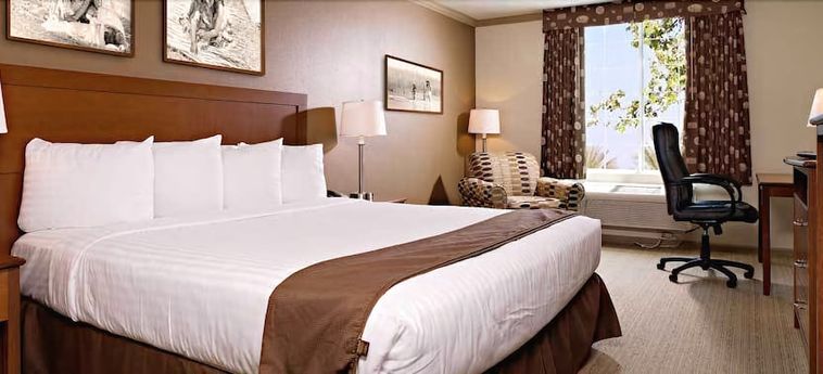 Hotel Sequoia Inn Hanford (Ca): Foto 
