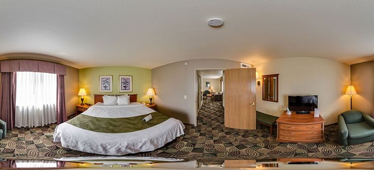 Hotel Quality Inn & Suites, Hannibal:  HANNIBAL (MO)