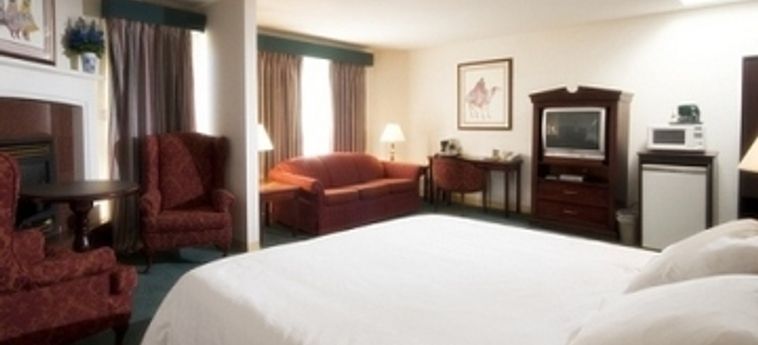 Hotel Ramada Harrison Hot Springs:  HARRISON HOT SPRINGS