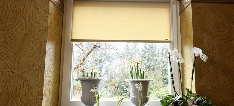 Hotel Maison Stout Hasselt: Foto 