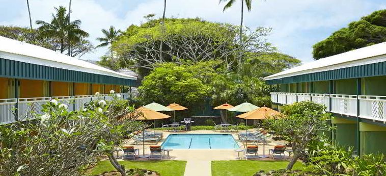 Kauai Shores Hotel :  HAWAII - KAUAI (HI)