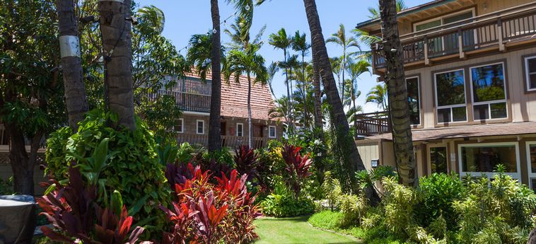 Hotel Maui Sunseeker Gay And Lesbian Resort:  HAWAII - MAUI (HI)
