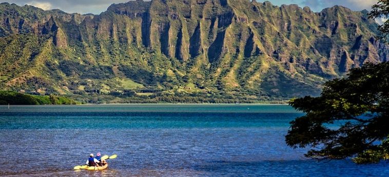 Hotel Paradise Bay Resort:  HAWAII - OAHU (HI)