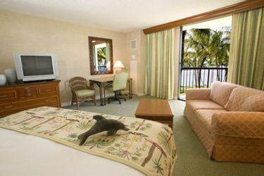 Hotel Hilton Waikoloa Village:  HAWAII'S BIG ISLAND (HI)
