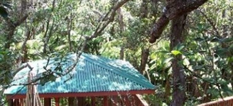 The Guest Cottages At Volcano Tree House:  HAWAII'S BIG ISLAND (HI)