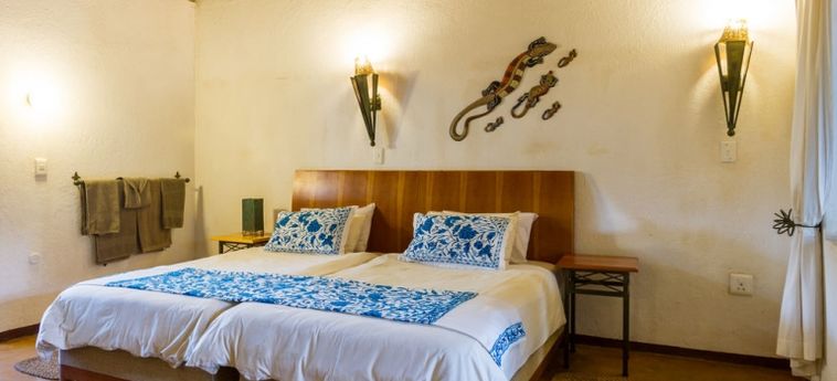 Hotel Gecko Lodge:  HAZYVIEW