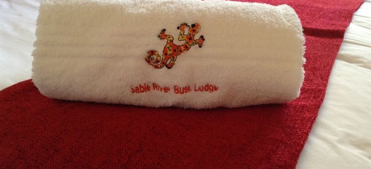 Hotel Sabie River Bush Lodge:  HAZYVIEW