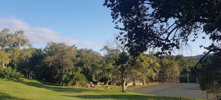 Hotel Kruger Park Lodge Hazyview : Photo 