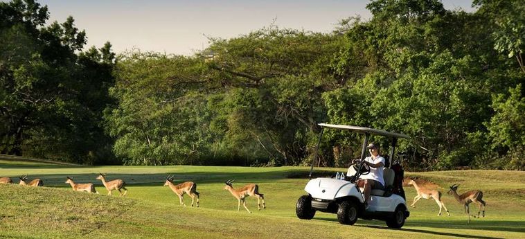 Hotel Kruger Park Lodge Hazyview : Photo 