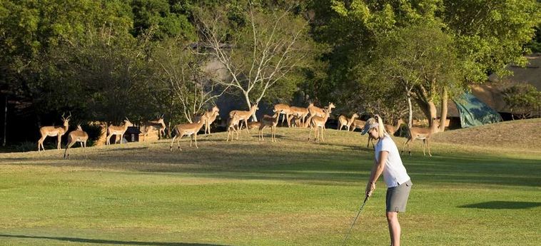 Hotel Kruger Park Lodge Hazyview : Photo 