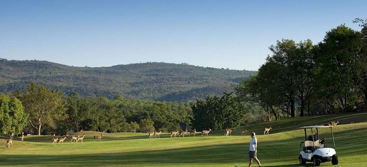 Hotel Kruger Park Lodge:  HAZYVIEW