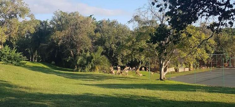 Hotel Kruger Park Lodge:  HAZYVIEW