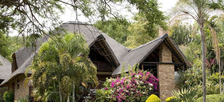 Hotel Kruger Park Lodge:  HAZYVIEW