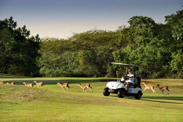 Hotel Kruger Park Lodge Hazyview: Photo 