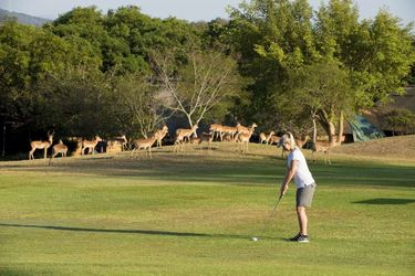 Hotel Kruger Park Lodge Hazyview: Photo 