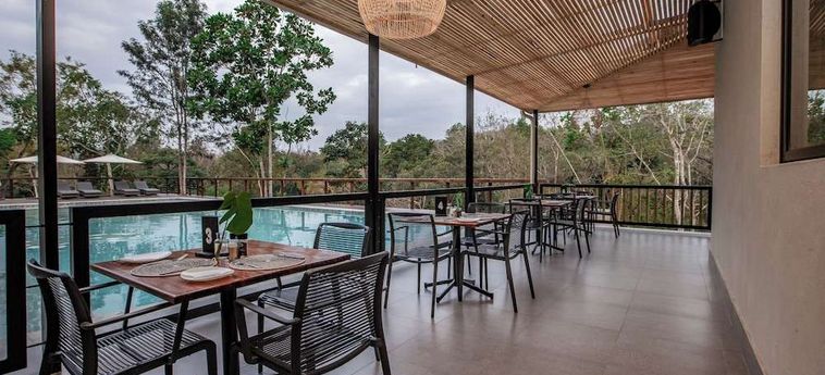 Hotel Bushbaby Valley Lodge Hazyview: Foto 