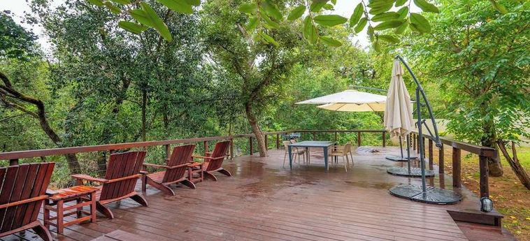 Hotel Bushbaby Valley Lodge Hazyview: Foto 