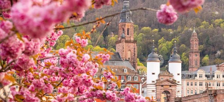 Hotel Ibis Heidelberg Hauptbahnhof Heidelberg: Foto 