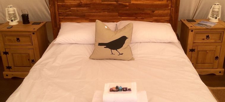 Hotel Glampotel Lizard Point Helston: Foto 