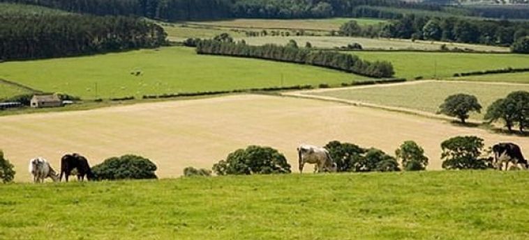 Hotel Rye Hill Farm Hexham: Foto 