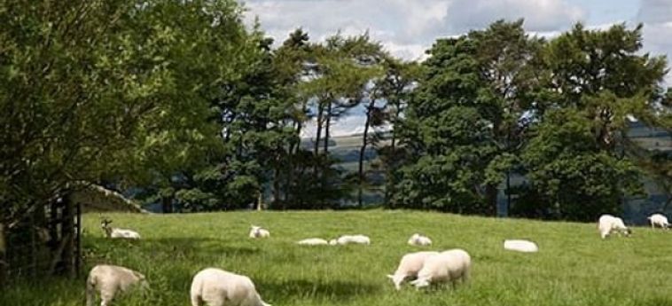 Hotel Rye Hill Farm Hexham: Foto 