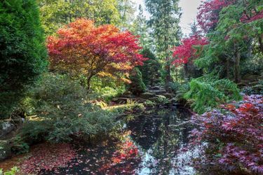 Slaley Hall Hotel, Spa &Amp; Golf Resort Hexham: Photo 