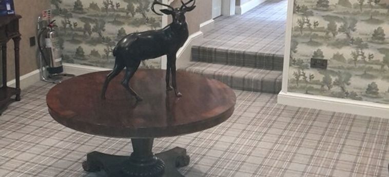 Hotel Walwick Hall Hexham: Foto 